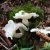 09 b Schluchensteig Etappe 4 - 6